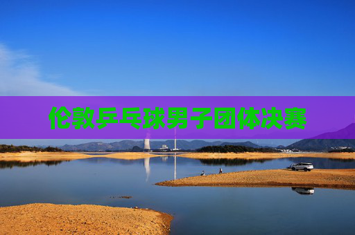 伦敦乒乓球男子团体决赛