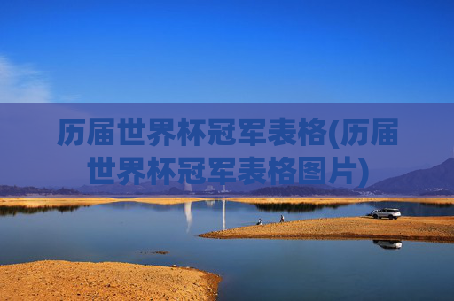 历届世界杯冠军表格(历届世界杯冠军表格图片)