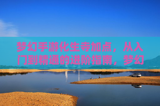 梦幻手游化生寺加点，从入门到精通的进阶指南，梦幻手游化生寺加点，从入门到精通的进阶指南
