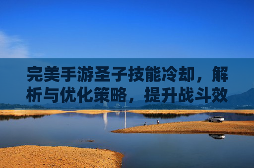完美手游圣子技能冷却,解析与优化策略,提升战斗效率