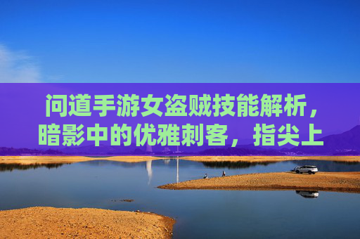 问道手游女盗贼技能解析，暗影中的优雅刺客，指尖上的致命一击，问道手游女盗贼技能解析，暗影中的优雅刺客与致命指尖术