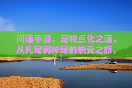问道手游，宠物点化之道，从凡宠到神宠的蜕变之旅，问道手游，宠物点化之道，从凡宠到神宠的蜕变之旅