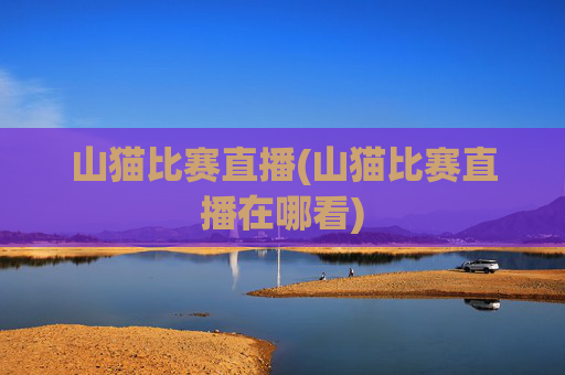 山猫比赛直播(山猫比赛直播在哪看)