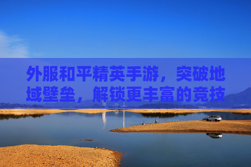 外服和平精英手游，突破地域壁垒，解锁更丰富的竞技与社交乐趣，外服和平精英手游，突破地域壁垒，解锁竞技与社交新乐趣