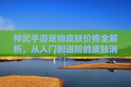 神武手游宠物皮肤价格全解析,从入门到进阶的皮肤消费指南,神武手游宠物皮肤价格全解析,从入门到进阶的皮肤消费指南