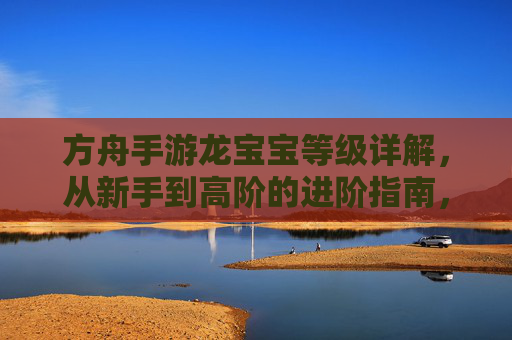 方舟手游龙宝宝等级详解，从新手到高阶的进阶指南，方舟手游龙宝宝等级详解，从新手到高阶的进阶指南