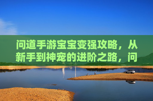 问道手游宝宝变强攻略,从新手到神宠的进阶之路,问道手游宝宝变强攻略,从新手到神宠的进阶之路