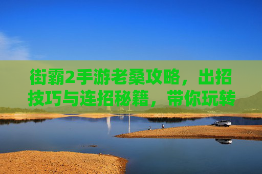 街霸2手游老桑攻略,出招技巧与连招秘籍,带你玩转经典角色,街霸2手游老桑攻略,出招技巧与连招秘籍,玩转经典角色