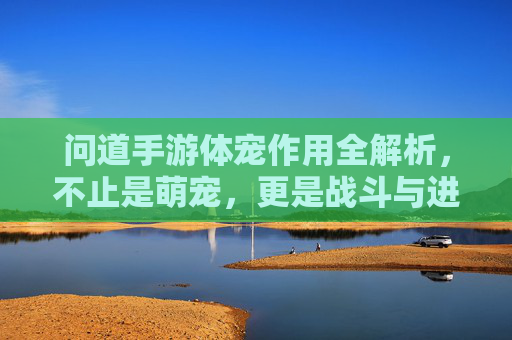 问道手游体宠作用全解析，不止是萌宠，更是战斗与进阶的强大助力，问道手游体宠作用全解析，不止是萌宠，更是战斗与进阶的强大助力