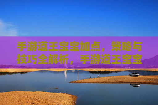 手游道王宝宝加点，策略与技巧全解析，手游道王宝宝加点，策略与技巧全解析