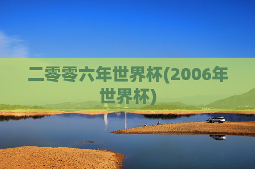 二零零六年世界杯(2006年世界杯)