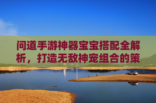 问道手游神器宝宝搭配全解析，打造无敌神宠组合的策略与技巧，问道手游神器宝宝搭配全解析，打造无敌神宠组合的策略与技巧