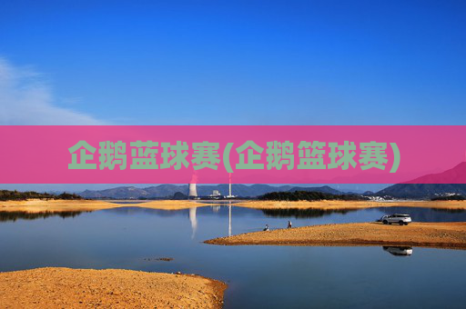 企鹅蓝球赛(企鹅篮球赛)