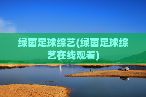 绿茵足球综艺(绿茵足球综艺在线观看)