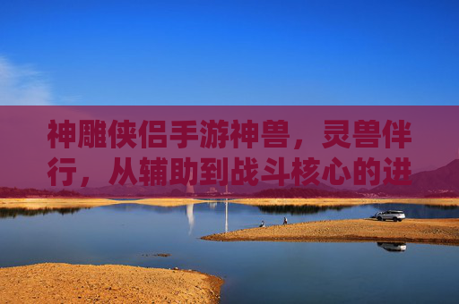 神雕侠侣手游神兽,灵兽伴行,从辅助到战斗核心的进化之旅,神雕侠侣手游神兽进化,从辅助伙伴到战斗核心的蜕变之旅