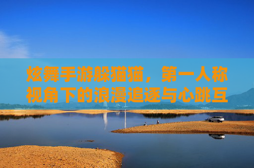 炫舞手游躲猫猫,第一人称视角下的浪漫追逐与心跳互动,炫舞手游躲猫猫,第一人称视角下的浪漫追逐与心跳互动