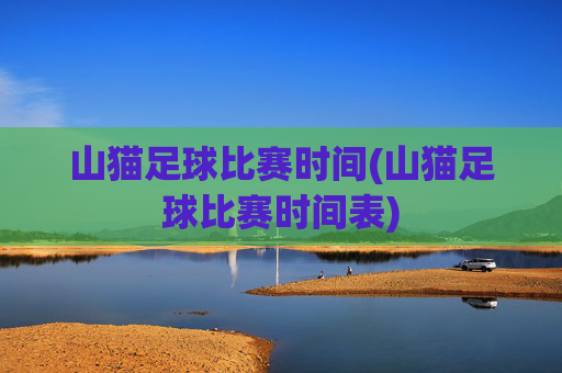 山猫足球比赛时间(山猫足球比赛时间表)