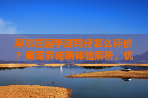 摩尔庄园手游鸡仔怎么评价？萌宠养成新体验解析，优点与不足深度剖析，摩尔庄园手游鸡仔评价，萌宠养成新体验解析，优点与不足深度剖析