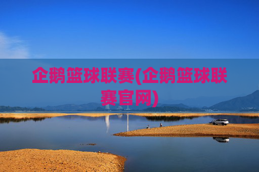 企鹅篮球联赛(企鹅篮球联赛官网)