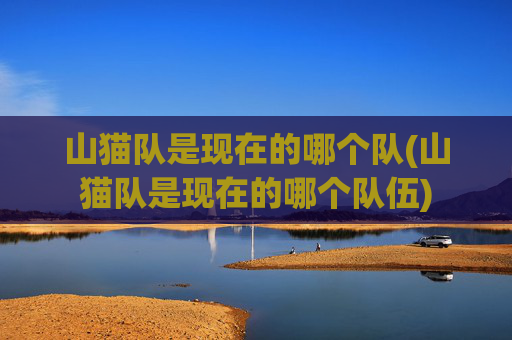 山猫队是现在的哪个队(山猫队是现在的哪个队伍)