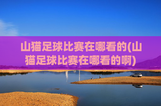 山猫足球比赛在哪看的(山猫足球比赛在哪看的啊)