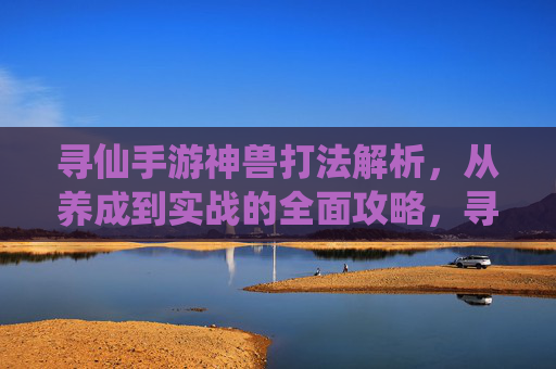 寻仙手游神兽打法解析，从养成到实战的全面攻略，寻仙手游神兽打法解析，从养成到实战的全面攻略