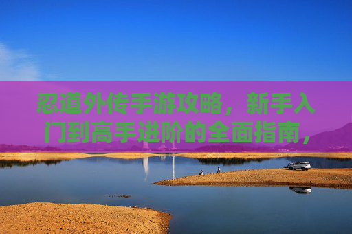 忍道外传手游攻略，新手入门到高手进阶的全面指南，忍道外传手游攻略，新手入门到高手进阶的全面指南