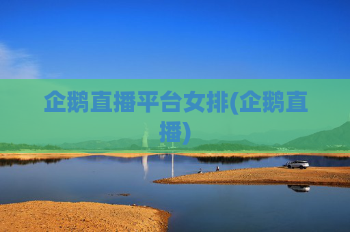 企鹅直播平台女排(企鹅直播)