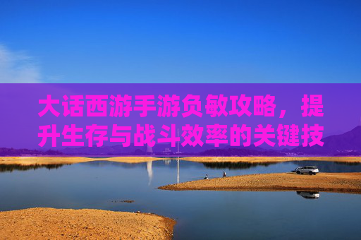 大话西游手游负敏攻略,提升生存与战斗效率的关键技巧