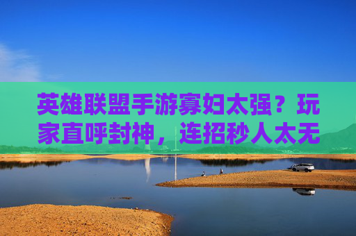英雄联盟手游寡妇太强？玩家直呼封神，连招秒人太无解，这波出装直接躺赢！