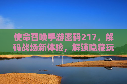 使命召唤手游密码217,解码战场新体验,解锁隐藏玩法与资源
