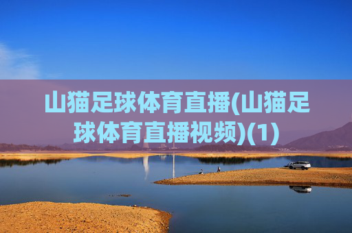 山猫足球体育直播(山猫足球体育直播视频)(1)