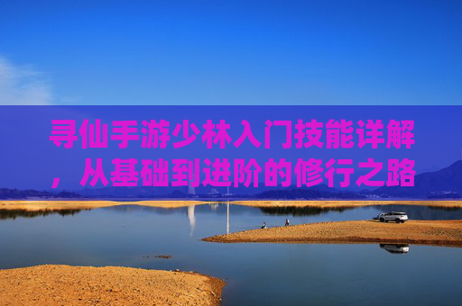 寻仙手游少林入门技能详解,从基础到进阶的修行之路