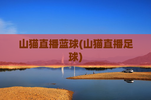 山猫直播蓝球(山猫直播足球)