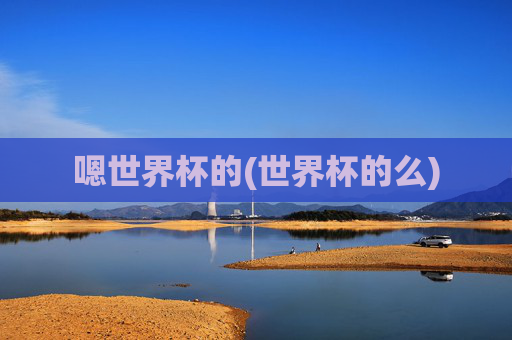 嗯世界杯的(世界杯的么)