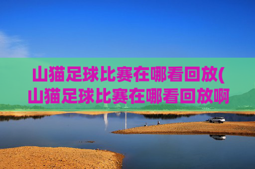 山猫足球比赛在哪看回放(山猫足球比赛在哪看回放啊)