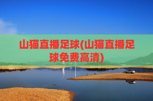 山猫直播足球(山猫直播足球免费高清)