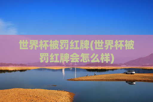 世界杯被罚红牌(世界杯被罚红牌会怎么样)