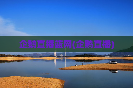 企鹅直播篮网(企鹅直播)