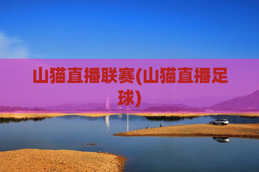 山猫直播联赛(山猫直播足球)