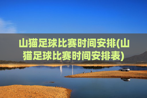 山猫足球比赛时间安排(山猫足球比赛时间安排表)