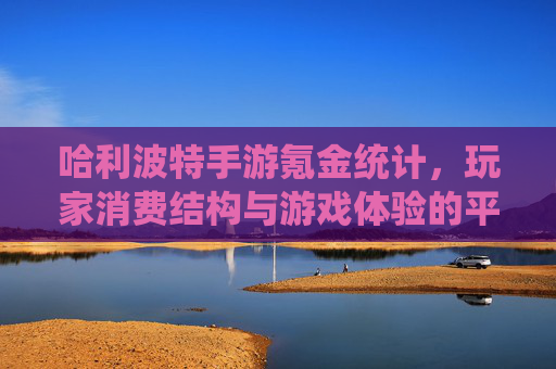 哈利波特手游氪金统计，玩家消费结构与游戏体验的平衡分析，哈利波特手游氪金统计，玩家消费结构与游戏体验的平衡分析