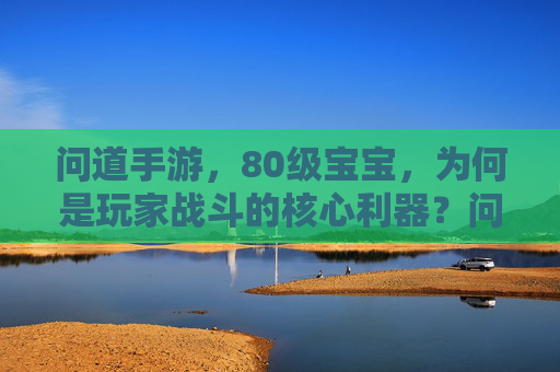问道手游,80级宝宝,为何是玩家战斗的核心利器?问道手游,80级宝宝为何是玩家战斗的核心利器?