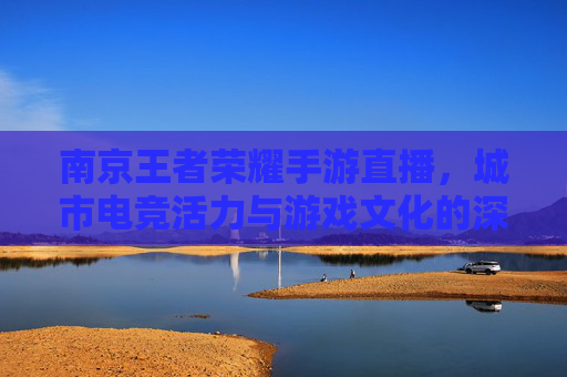 南京王者荣耀手游直播，城市电竞活力与游戏文化的深度融合，南京王者荣耀手游直播，城市电竞活力与游戏文化深度融合