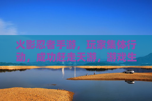 火影忍者手游，玩家集体行动，成功赶走天游，游戏生态迎来新转机，火影忍者手游玩家集体行动赶走天游 游戏生态迎来新转机