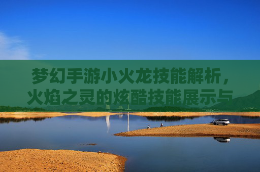 梦幻手游小火龙技能解析，火焰之灵的炫酷技能展示与玩法攻略，梦幻手游小火龙技能解析，火焰之灵的炫酷技能展示与玩法攻略