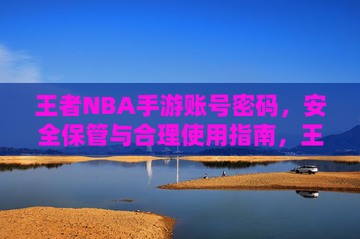 王者NBA手游账号密码，安全保管与合理使用指南，王者NBA手游账号密码，安全保管与合理使用指南