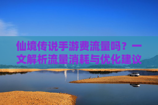 仙境传说手游费流量吗?一文解析流量消耗与优化建议
