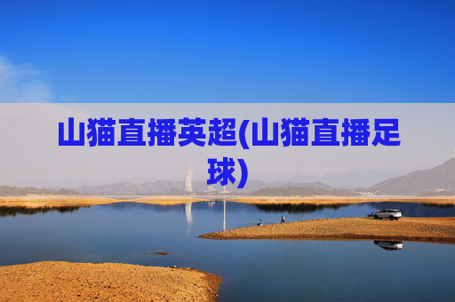 山猫直播英超(山猫直播足球)