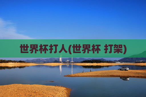 世界杯打人(世界杯 打架)